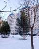 Сдам 1-комнатную квартиру в Санкт-Петербурге, м. Улица Дыбенко, Товарищеский пр-т 32к2, 42.1 м²