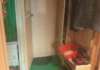 Сдам комнату в 4-к квартире, пр-т Славы 30к4, 15 м²