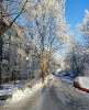 Сдам 3-комнатную квартиру в Санкт-Петербурге, м. Купчино, Пушкинский р-н пос. Шушары Школьная ул. 26 этаж 3, 67 м²