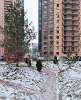 Сдам 1-комнатную квартиру в Санкт-Петербурге, м. Парнас, пос. Парголово Толубеевский пр. 36к1, 35 м²