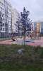 Сдам студию, пр-т Будённого 23к1, 24 м²