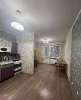 Сдам студию, Дунайский пр-т 55к1, 25.4 м²