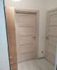 Сдам студию, Пулковское ш. 71к14, 26 м²