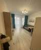 Сдам студию, Пулковское ш. 71к4, 26.4 м²