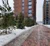 Сдам студию в Санкт-Петербурге, м. Приморская, наб. Макарова 58, 31 м²