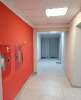 Сдам студию, Ириновский пр-т 43, 28 м²