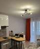 Сдам студию в Санкт-Петербурге, м. Озерки, наб. реки Каменки 23, 20 м²
