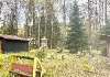 Сдам дом, Курортный р-н пос. Репино Приморское ш. 471Х, 98 м², 25 соток