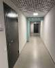 Сдам 1-комнатную квартиру, Муринская дорога 8к4, 32 м²