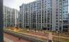 Сдам студию в Санкт-Петербурге, м. Приморская, Уральская ул. 21, 26 м²
