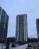 Сдам студию в Санкт-Петербурге, м. Озерки, наб. реки Каменки 19к3, 20.3 м²
