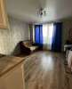 Сдам студию, Пушкинский р-н пос. Шушары Московское ш. 250к2, 24.8 м²
