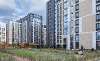 Сдам студию в Санкт-Петербурге, м. Волковская, Тосина ул. 6, 25 м²