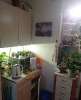 Сдам комнату в 3-к квартире, Колпинский р-н Колпино Заводской пр-т 38, 12 м²