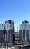 Сдам студию, Арцеуловская аллея 17, 24.5 м²