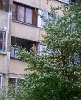 Сдам комнату в 3-к квартире в Санкт-Петербурге, м. Улица Дыбенко, ул. Тельмана 43к4, 15 м²