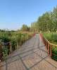 Сдам 1-комнатную квартиру в Санкт-Петербурге, м. Беговая, Богатырский пр-т 50к1, 39 м²