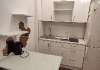 Сдам студию, пр-т Ветеранов 171к4, 26 м²