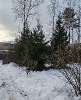 Сдам дом, Курортный р-н пос. Солнечное 1-я Зелёная ул. 1Б, 240 м², 26 соток
