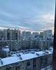 Сдам студию в Санкт-Петербурге, м. Купчино, Пушкинский р-н пос. Шушары Школьная ул. 15, 27 м²