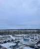 Сдам студию, Комендантский пр-т 71, 31.5 м²