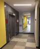 Сдам студию, пр-т Ветеранов 181, 24.2 м²
