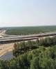 Сдам студию в Санкт-Петербурге, м. Комендантский проспект, Планерная ул. 63к1, 34 м²
