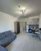 Сдам студию, Красносельский район муниципальный округ Сосновая Поляна жилой комплекс Солнечный Город. Резиденции, 24 м²