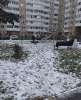Сдам 1-комнатную квартиру, Красное Село Театральная ул. 7, 35.1 м²