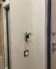 Сдам 1-комнатную квартиру в Санкт-Петербурге, м. Комендантский проспект, Планерная ул. 87к1, 42 м²