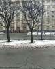 Сдам 3-комнатную квартиру в Санкт-Петербурге, м. Московская, ул. Типанова 5, 100 м²