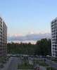 Сдам 1-комнатную квартиру, Планерная ул. 91к2, 29.7 м²