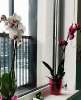 Сдам студию, Верхне-Каменская ул. 9к1, 25 м²