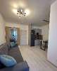 Сдам студию в Санкт-Петербурге, м. Волковская, Тосина ул. 6, 25 м²