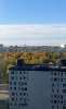 Сдам 1-комнатную квартиру в Санкт-Петербурге, м. Ладожская, ул. Лагоды 5, 41.4 м²