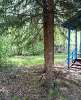 Сдам дом, Курортный р-н пос. Солнечное, 20 м², 6 соток