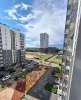 Сдам студию в Санкт-Петербурге, м. Озерки, наб. реки Каменки 19к4, 22 м²