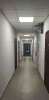Сдам студию, Арцеуловская аллея 21, 25 м²