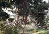 Сдам дом, Петродворцовый р-н Петергоф, 96 м², 58 соток