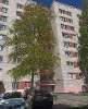 Сдам комнату в 8-к квартире в Санкт-Петербурге, м. Гражданский проспект, ул. Демьяна Бедного 29, 18 м²