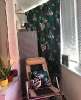 Сдам студию в Санкт-Петербурге, м. Беговая, Туристская ул. 10к1, 30 м²