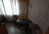 Сдам 1-комнатную квартиру, Красное Село Гатчинское ш. 12к3, 44.5 м²
