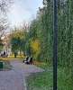 Сдам 1-комнатную квартиру в Санкт-Петербурге, м. Лесная, Земледельческая ул. 5к2, 41 м²