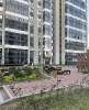 Сдам студию, Арцеуловская аллея 17, 25 м²