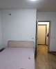 Сдам студию, пр-т Ветеранов 173к7, 27 м²