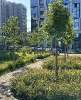 Сдам студию в Санкт-Петербурге, м. Приморская, Уральская ул. 21, 27 м²
