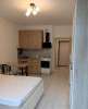 Сдам студию, Арцеуловская аллея 17, 24 м²