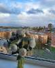 Сдам студию в Санкт-Петербурге, м. Елизаровская, ул. Ткачей 68к2, 35 м²