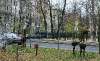 Сдам студию в Санкт-Петербурге, м. Петроградская, Каменноостровский пр-т 63, 16 м²