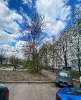 Сдам 1-комнатную квартиру в Санкт-Петербурге, м. Улица Дыбенко, пр-т Большевиков 39к1, 30 м²